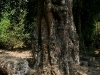 070307taprohm02.jpg