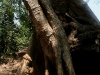 070307taprohm09.jpg