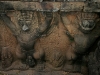 070307elephantterrace12.jpg