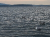 080817_crabfishing13.jpg