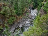 080818_sooke07.jpg