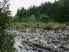 080818_sooke15.jpg