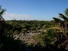 081107_ruins_tulum02.jpg