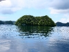 090813_palau04.jpg